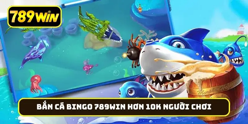 Game bắn cá Bingo 789Win ghi nhận hơn 10k người chơi