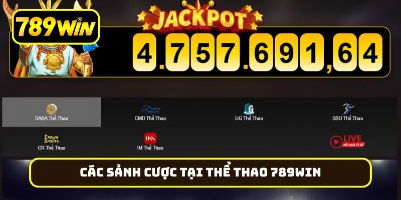 Các sảnh cược tại thể thao 789Win