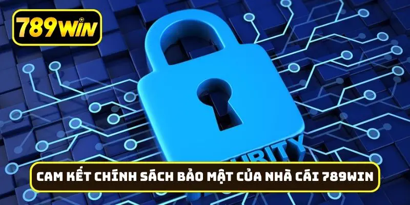 Cam kết về chính sách bảo mật của nhà cái 789Win