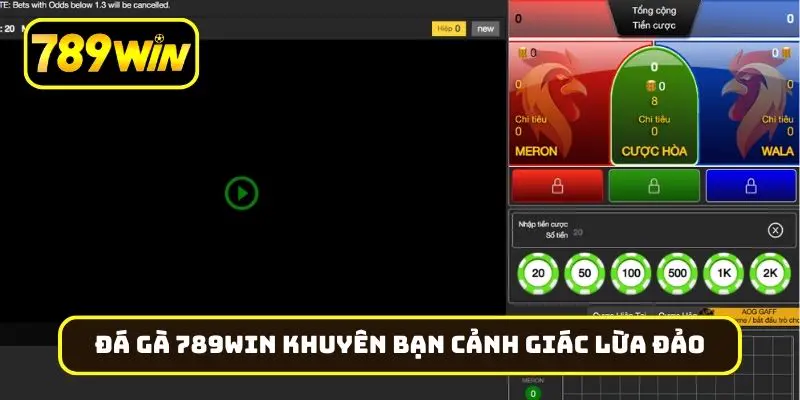 Đá gà 789Win khuyên bạn cảnh giác lừa đảo