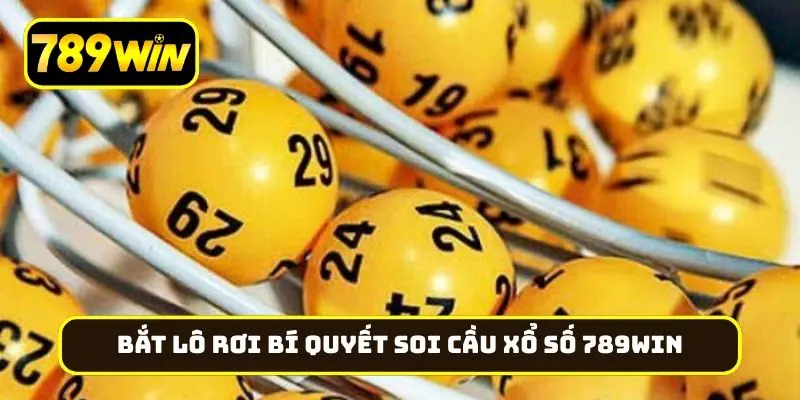 Hướng dẫn bắt lô rơi trong bí quyết soi cầu xổ số 789Win