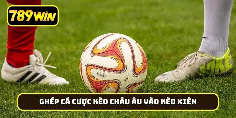 Nguyên tắc ghép cá cược kèo châu Âu vào kèo xiên