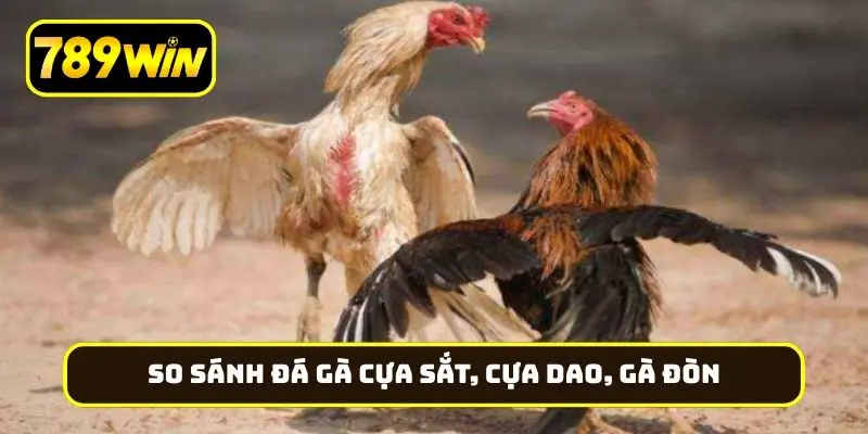 Top thịnh hành đá gà cựa sắt, cựa dao và gà đòn